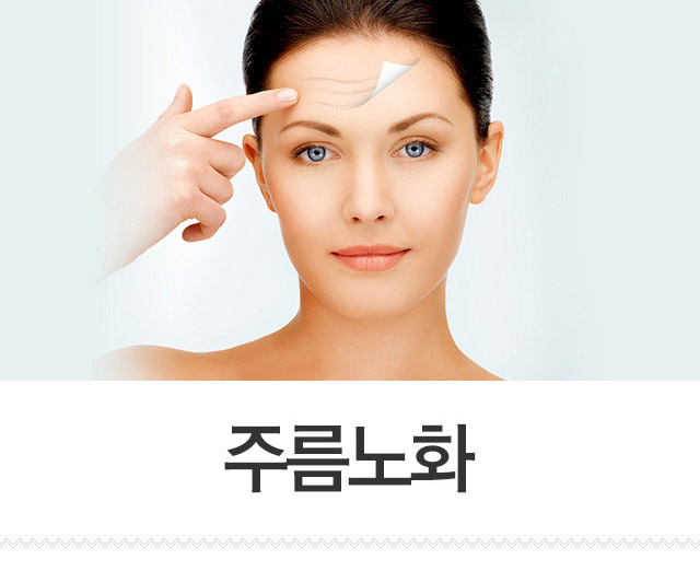 주름노화